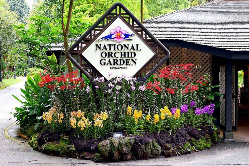 National Orchid Garden
